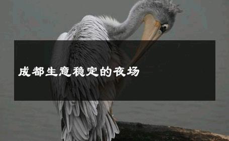 成都生意稳定的夜场 