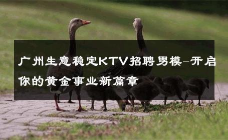 广州生意稳定KTV招聘男模-开启你的黄金事业新篇章 