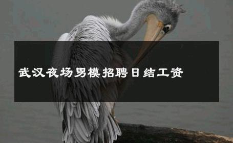武汉夜场男模招聘日结工资 