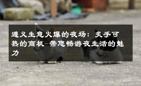 遵义生意火爆的夜场：炙手可热的商机-带您畅游夜生活的魅力 