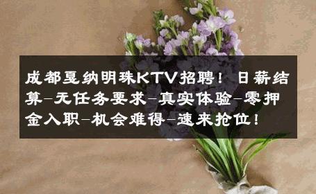 成都戛纳明珠KTV招聘！日薪结算-无任务要求-真实体验-零押金入职-机会难得-速来抢位！ 