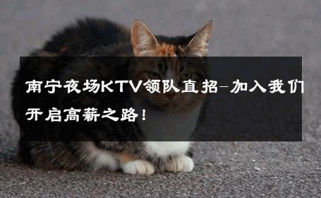 南宁夜场KTV领队直招-加入我们开启高薪之路！ 
