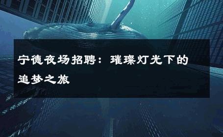 宁德夜场招聘：璀璨灯光下的追梦之旅 
