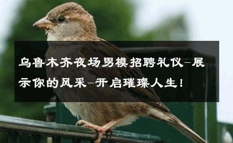 乌鲁木齐夜场男模招聘礼仪-展示你的风采-开启璀璨人生！ 