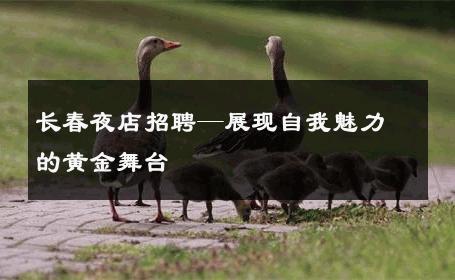 长春夜店招聘—展现自我魅力的黄金舞台 