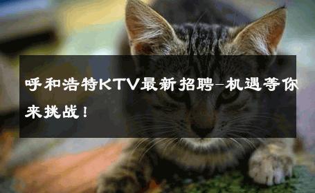 呼和浩特KTV最新招聘-机遇等你来挑战！ 