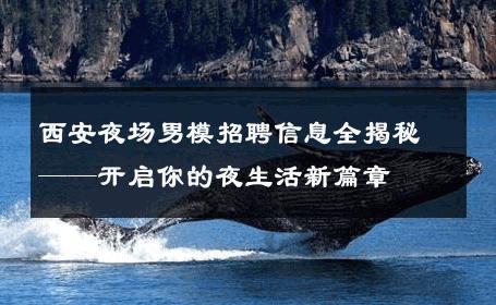 西安夜场男模招聘信息全揭秘——开启你的夜生活新篇章 