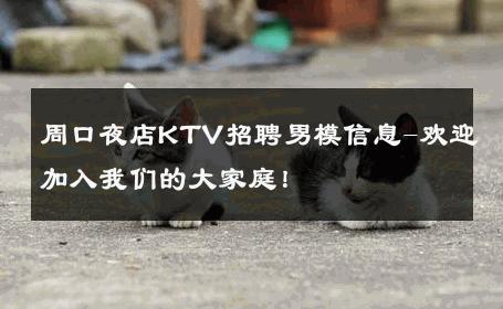 周口夜店KTV招聘男模信息-欢迎加入我们的大家庭！ 