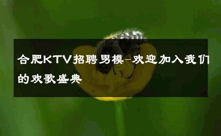 合肥KTV招聘男模-欢迎加入我们的欢歌盛典 