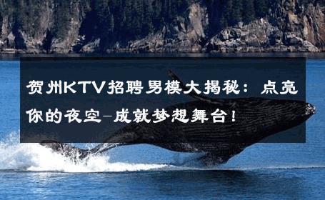 贺州KTV招聘男模大揭秘：点亮你的夜空-成就梦想舞台！ 