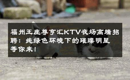 福州王座尊亨汇KTV夜场高端招聘：纯绿色环境下的璀璨明星等你来！ 