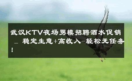 武汉KTV夜场男模招聘酒水促销 _ 稳定生意+高收入-轻松无任务！ 