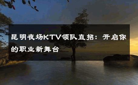 昆明夜场KTV领队直招：开启你的职业新舞台 