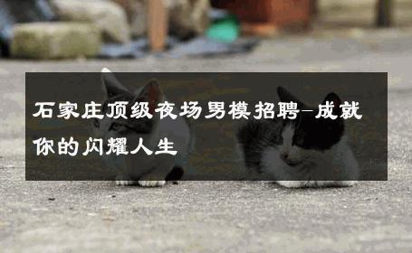 石家庄顶级夜场男模招聘-成就你的闪耀人生 