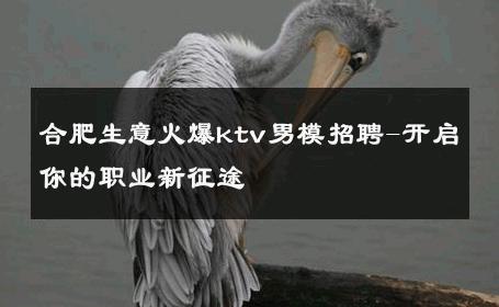 合肥生意火爆ktv男模招聘-开启你的职业新征途 