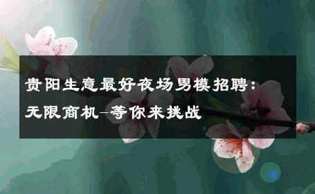 贵阳生意最好夜场男模招聘：无限商机-等你来挑战 