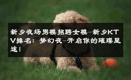 新乡夜场男模招聘女模-新乡KTV排名：梦幻夜-开启你的璀璨星途！ 