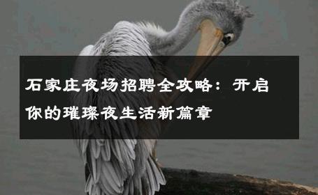 石家庄夜场招聘全攻略：开启你的璀璨夜生活新篇章 