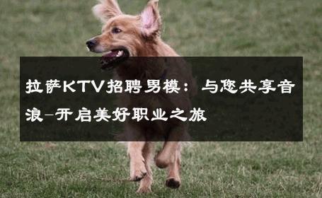 拉萨KTV招聘男模：与您共享音浪-开启美好职业之旅 