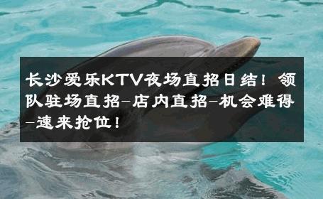 长沙爱乐KTV夜场直招日结！领队驻场直招-店内直招-机会难得-速来抢位！ 