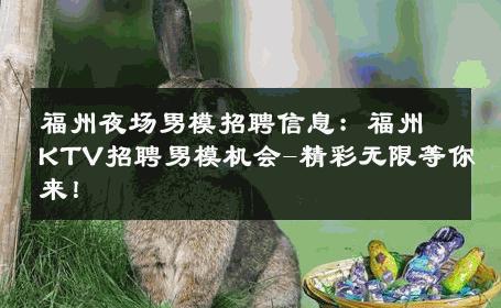福州夜场男模招聘信息：福州KTV招聘男模机会-精彩无限等你来！ 
