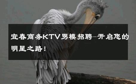 宜春商务KTV男模招聘-开启您的明星之路！ 