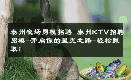 泰州夜场男模招聘-泰州KTV招聘男模-开启你的星光之路-轻松赚取！ 