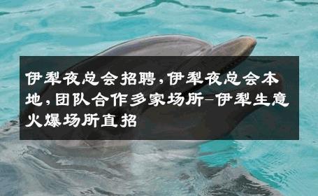 伊犁夜总会招聘,伊犁夜总会本地,团队合作多家场所-伊犁生意火爆场所直招