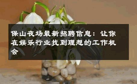 保山夜场最新招聘信息：让你在娱乐行业找到理想的工作机会 