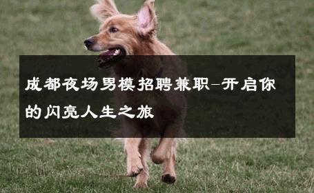成都夜场男模招聘兼职-开启你的闪亮人生之旅 