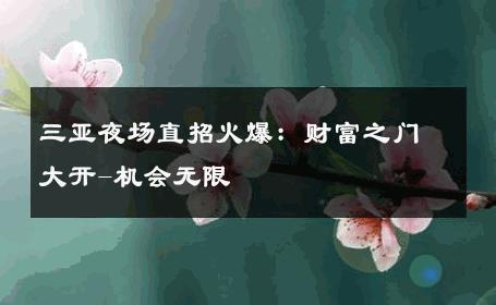 三亚夜场直招火爆：财富之门大开-机会无限 