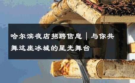 哈尔滨夜店招聘信息｜与你共舞这座冰城的星光舞台 