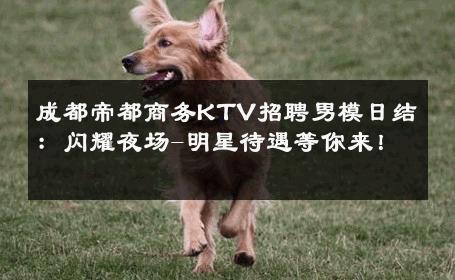 成都帝都商务KTV招聘男模日结：闪耀夜场-明星待遇等你来！ 