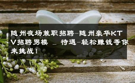随州夜场兼职招聘-随州豪华KTV招聘男模 _ 待遇-轻松赚钱等你来挑战！ 