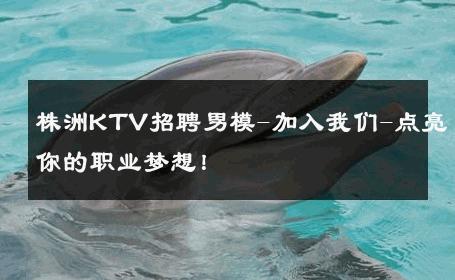 株洲KTV招聘男模-加入我们-点亮你的职业梦想！ 