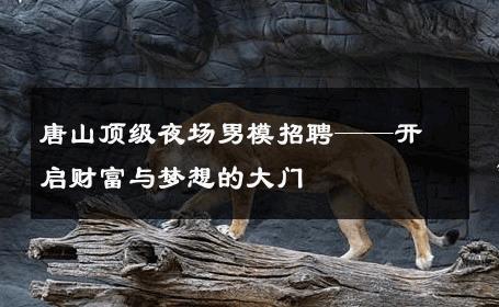 唐山顶级夜场男模招聘——开启财富与梦想的大门 