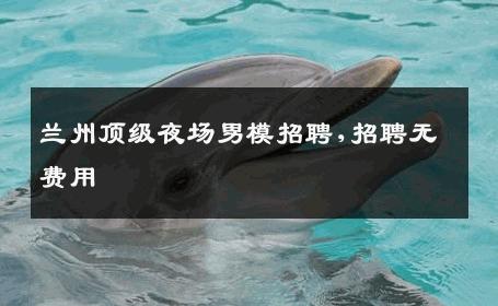 兰州顶级夜场男模招聘,招聘无费用 