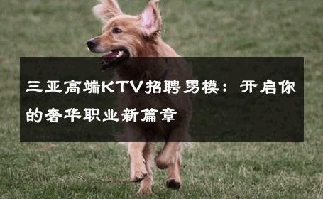 三亚高端KTV招聘男模：开启你的奢华职业新篇章 