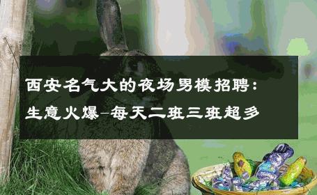 西安名气大的夜场男模招聘：生意火爆-每天二班三班超多 
