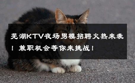 芜湖KTV夜场男模招聘火热来袭！兼职机会等你来挑战！ 