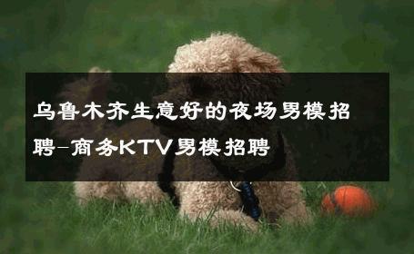 乌鲁木齐生意好的夜场男模招聘-商务KTV男模招聘 