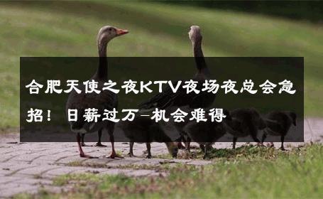 合肥天使之夜KTV夜场夜总会急招！日薪过万-机会难得 