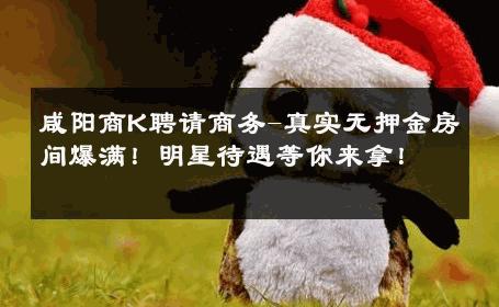 咸阳商K聘请商务-真实无押金房间爆满！明星待遇等你来拿！ 