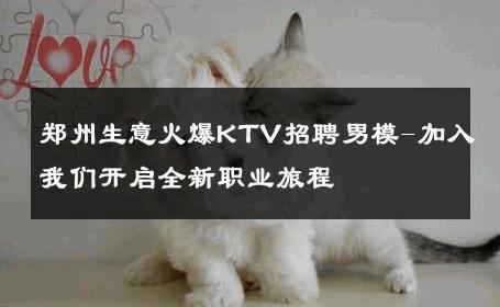 郑州生意火爆KTV招聘男模-加入我们开启全新职业旅程 