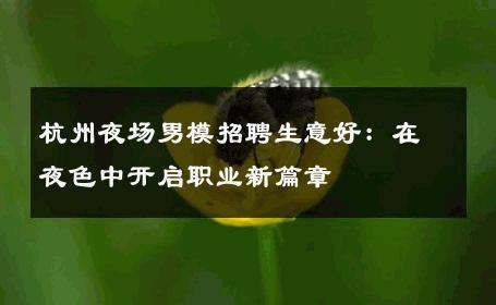 杭州夜场男模招聘生意好：在夜色中开启职业新篇章 