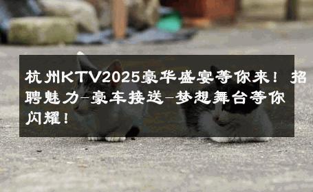 杭州KTV2025豪华盛宴等你来！招聘魅力-豪车接送-梦想舞台等你闪耀！ 