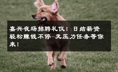 嘉兴夜场招聘礼仪！日结薪资轻松赚钱不停-无压力任务等你来！ 