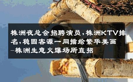 株洲夜总会招聘演员,株洲KTV排名,稳固客源一同描绘繁华美画-株洲生意火爆场所直招