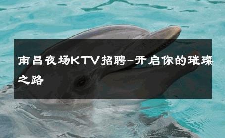 南昌夜场KTV招聘-开启你的璀璨之路 