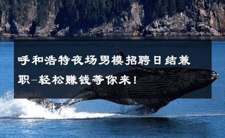 呼和浩特夜场男模招聘日结兼职-轻松赚钱等你来！ 